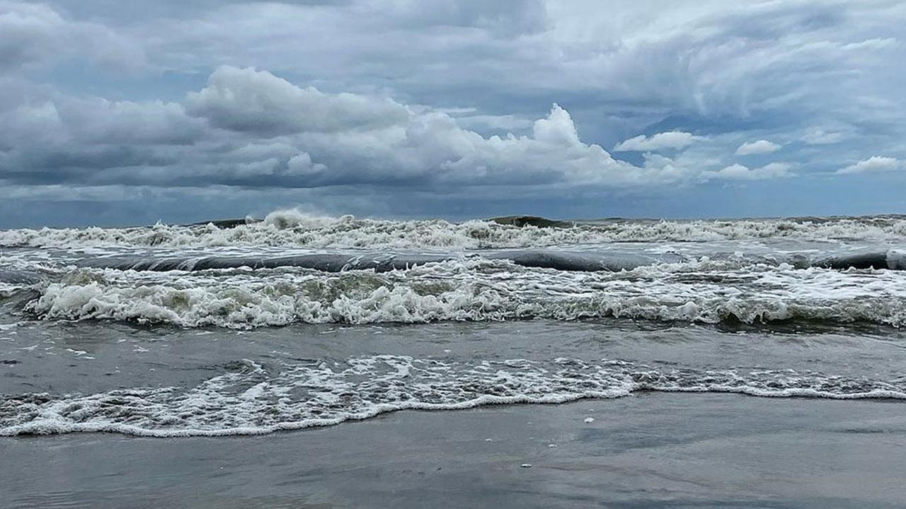এনবিআরে চলছে কমপ্লিট শাটডাউন